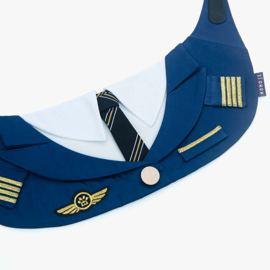 Momoji Air  *  Pilot (2-Royal Blue)