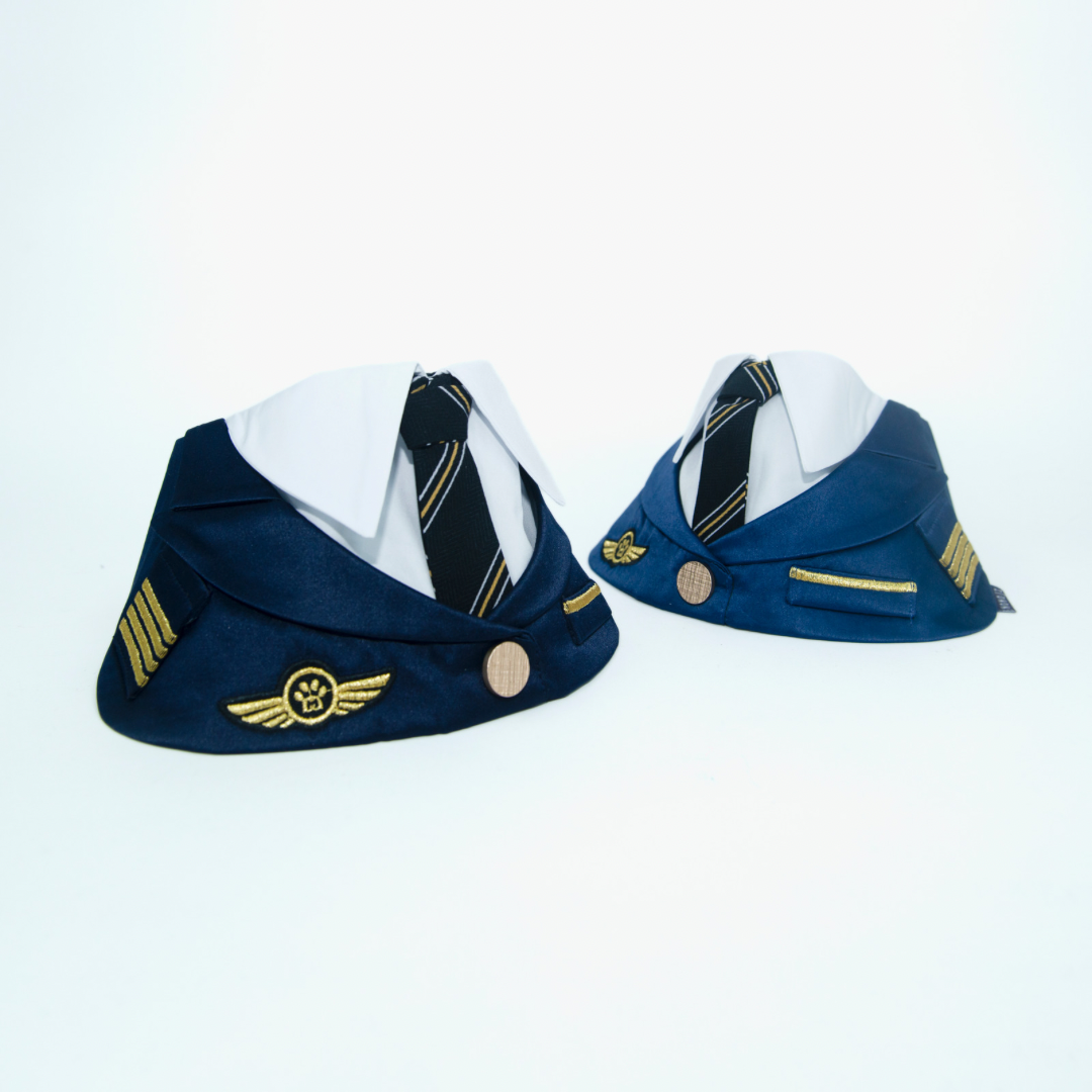 Momoji Air  *  Pilot (2-Royal Blue)