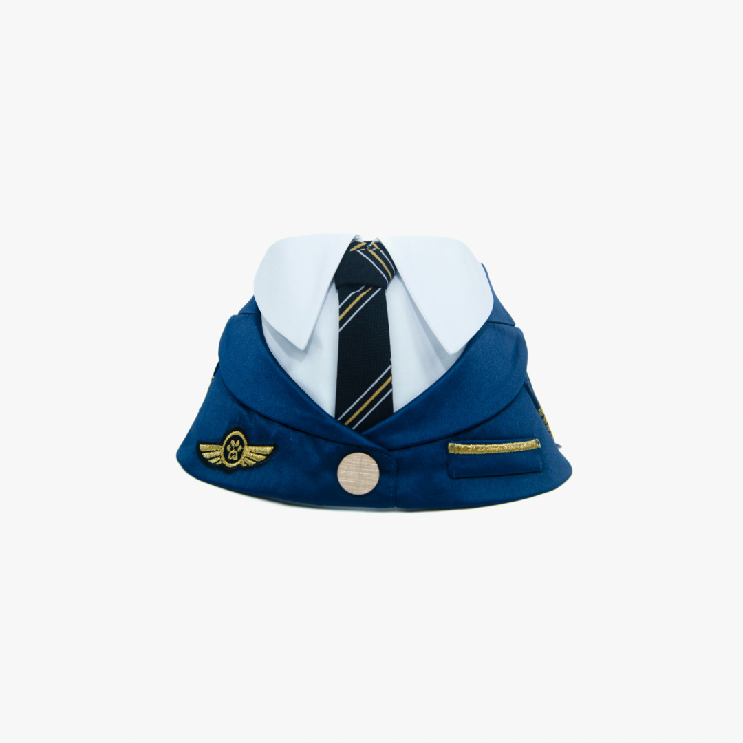 Momoji Air  *  Pilot (2-Royal Blue)