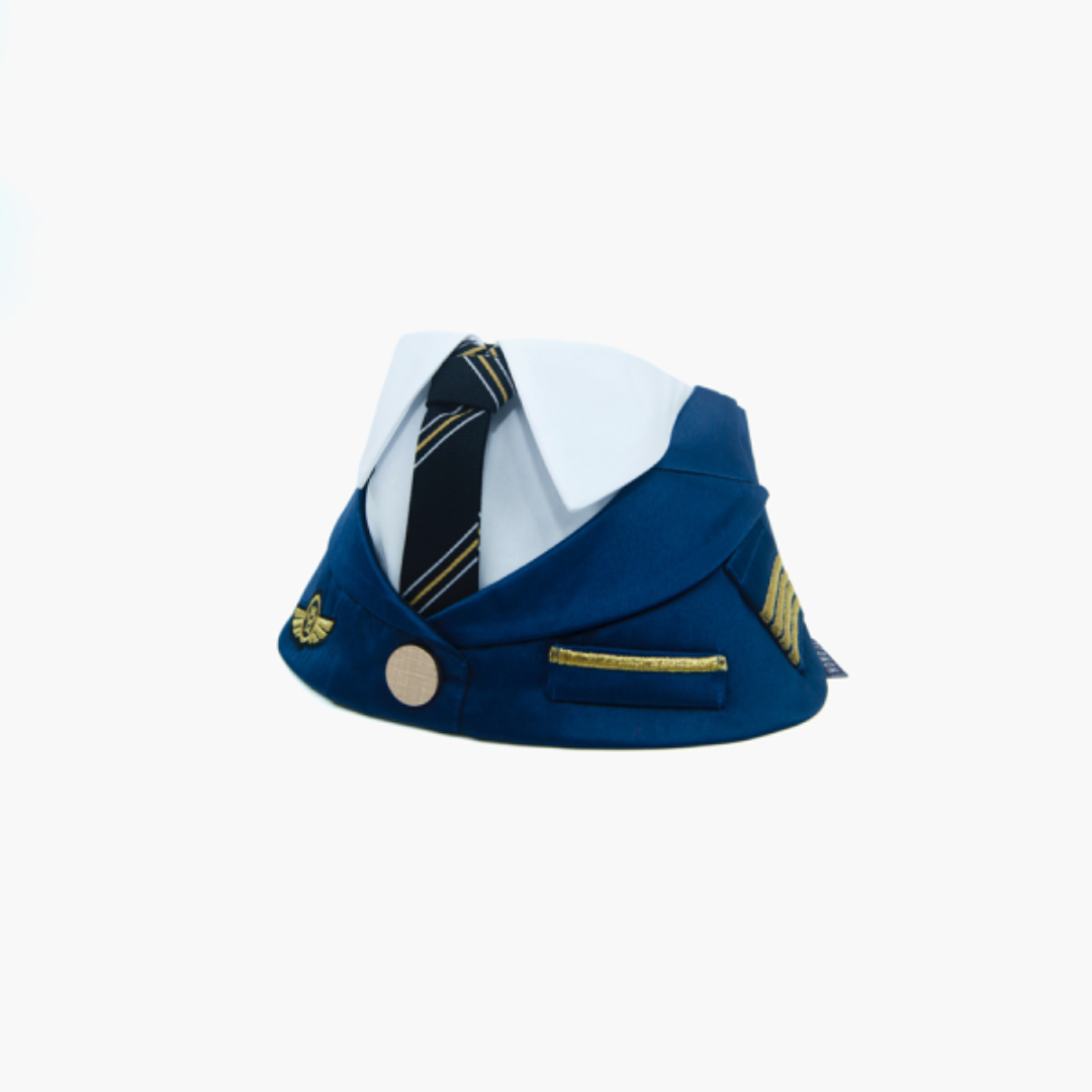 Momoji Air  *  Pilot (2-Royal Blue)